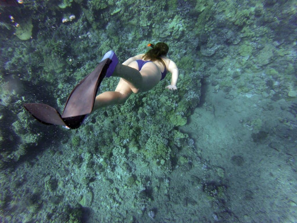 Snorkeling in Capraia