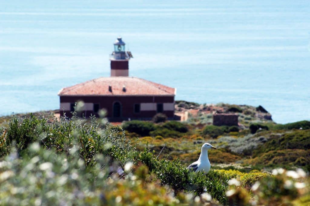 Giannutri lighthouse