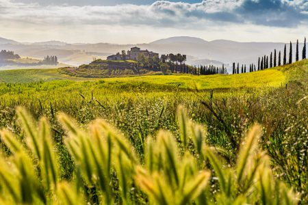 Typisch toskanische Landschaft / Panorama