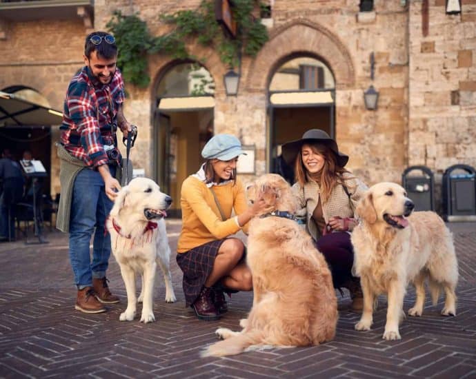 Mit dem Hund in die Toskana