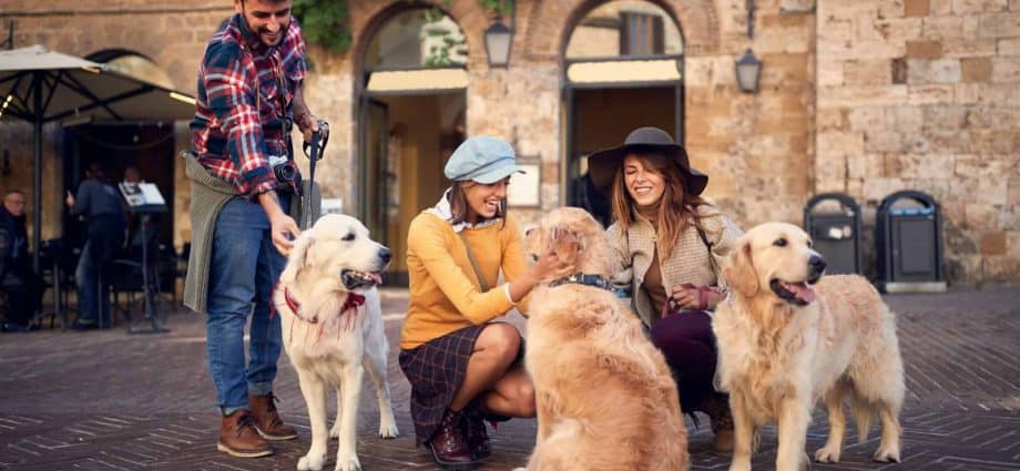 Mit dem Hund in die Toskana