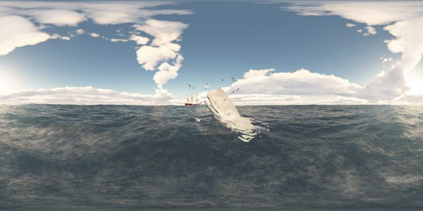 Pottwal, Seemöwen und Segelwalfänger