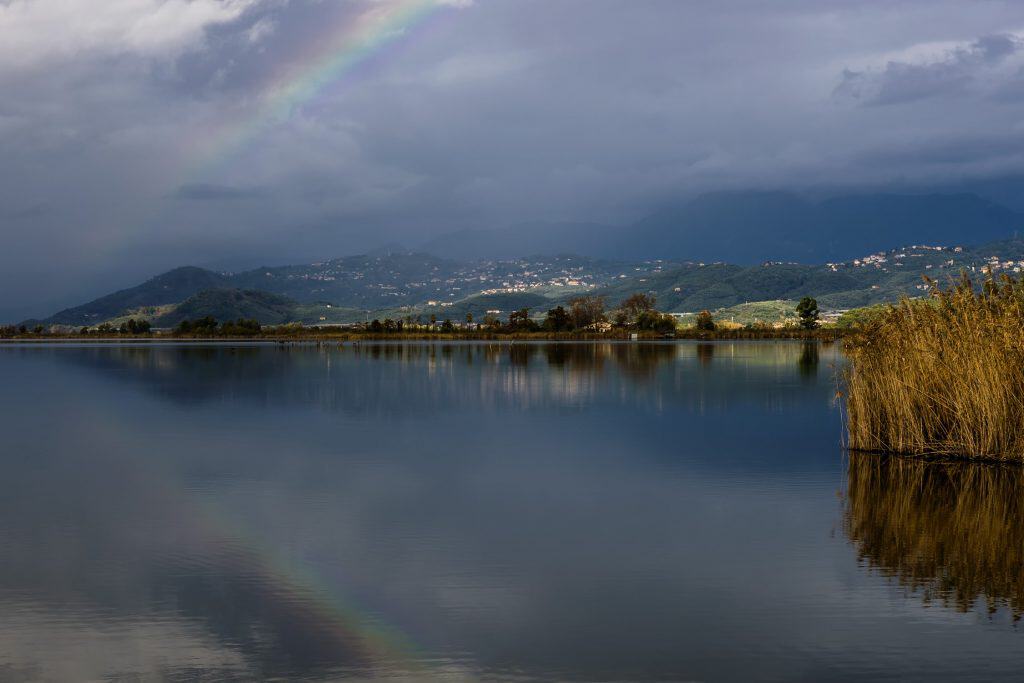 Lago Massaciuccoli